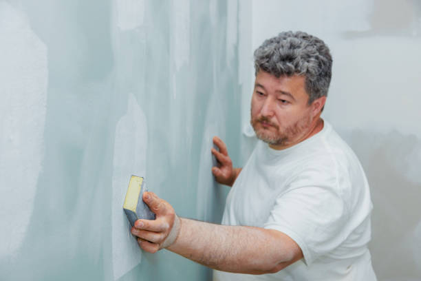 Trusted Windsor, CO Drywall & Painting Services Experts